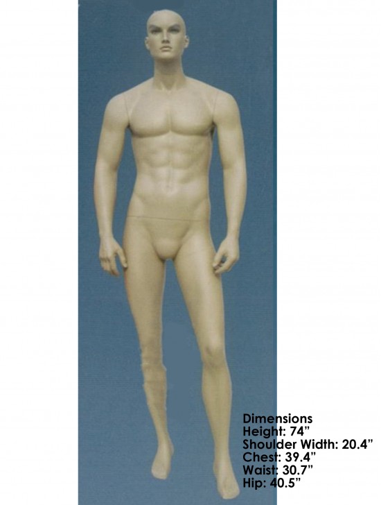 Full Size Male Mannequin Display
